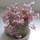 미니먼트 이미지