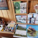 도시고양이생존연구소 이미지