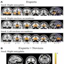 동안산병원 이미지