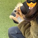 왈왈동물약국 | 출근길에 써보는 반려 일기 : 임보 지망생에서 초보 반려인이 되기까지 - 3편 (끝)