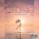 도락 이미지