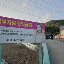 진도 미스트롯 眞 송가인 마을 포토존 및 생가 이미지