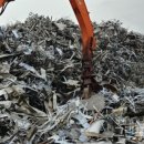 스프링팜코리아 이미지