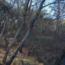 덕지농장 이미지