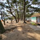 한들민박 이미지