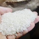 참시루떡방 - 북구 침산로21길 23 | 참시루떡방