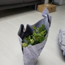 그린꽃식물원 이미지
