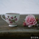앨피앤북스테이민박