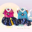 애견용품아울렛 이미지