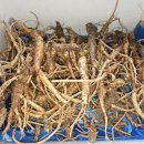 폐암말기 완치사례*장생도라지 복용*구강암말기 2개월 시한부 완치 * 말기암 완치 사례 이미지