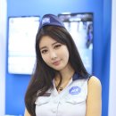 신세하 카카오 검색결과