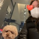 봉담우리애 동물병원 이미지