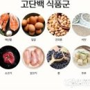1일 단백질 섭취량 단백질 많은 채소 고기 생선과 적정량 이미지