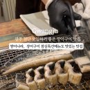 임방울대로801번길 이미지