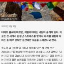 베율 이미지