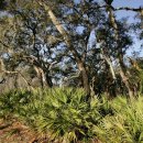 골목과일 이미지