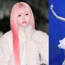 채원이네 - 화성시 | 채원이네