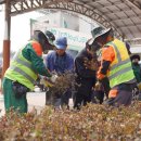 칠원읍공설운동장 이미지