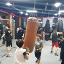 골든보이복싱짐 이미지