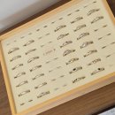 (주)토담(어스17) | 포항 이색데이트💎 예비부부 커플템 만들기 ㅣ프롬어스 써지컬 팔찌 원데이클래스 후기