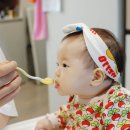 본죽 | 10개월이유식 후기이유식식단 , 베이비본죽 후기