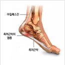 솔한방병원 이미지