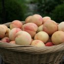 오재울농장 이미지