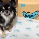 위랩 | 강아지 배변패드 두껍고 흡수력 좋은 맘펫츠 위랩패드 중형 사용 후기