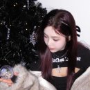 조이트리 이미지