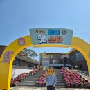 오수봉투 | [임실] 2026 임실 펫스타 오수축제 다녀온 후기