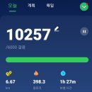 꽈배기와 동그리 이미지