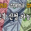 장애인연금/장애연금/장애수당 "중복신청가능" 이미지