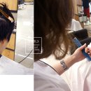 도연2호 이미지