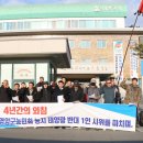 삼호 태양광발전소 이미지