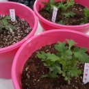 월명농장 이미지