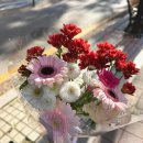 풍요속꽃향기 이미지