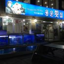 용운횟집