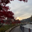 에이스목장 | 논산 숙소 레이크힐 호텔 1박2일 탑정호 레이크뷰 더블룸 조식