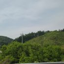 산에나무 이미지