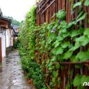 전주한옥마을 골목길 이미지