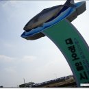 서귀포오일시장-1 이미지