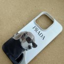 프라독(PRADOG) 이미지