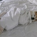 엠엔디(MND) 이미지