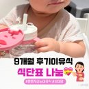 (주)자연쿡 | 출력용 PDF 포함! 9개월 후기이유식 식단표 나눔 💖 (삐뽀삐뽀 기준, 3끼 배치쿡)