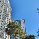 약대아이파크공인중개사사무소 이미지