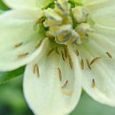 이천시농업기술센터 이미지