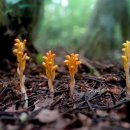 제주휴가 이미지