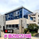율포해수욕장 | 보성 오션뷰 카페 | 율포해수욕장 근처 ‘플라밍고 카페’ 솔직 후기! 테라스 뷰가 미쳤어요🌊