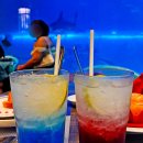 (주)초콜릿엔터테인먼트 | 푸꾸옥 딥씨레스토랑 예약 바우처 빈원더스 아쿠아리움 식당