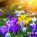 스티브잡스의 생애 이미지